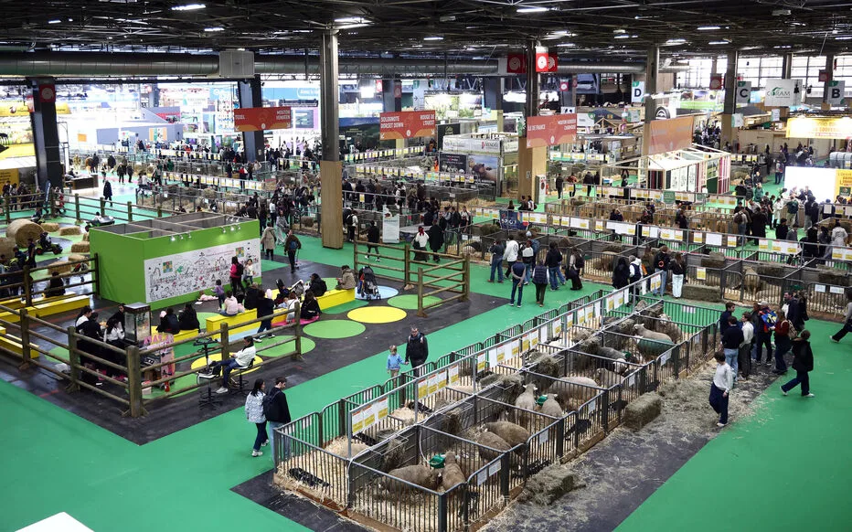 Bagarre violente au Salon de l'Agriculture : 15 personnes arrêtées et un couteau brandi