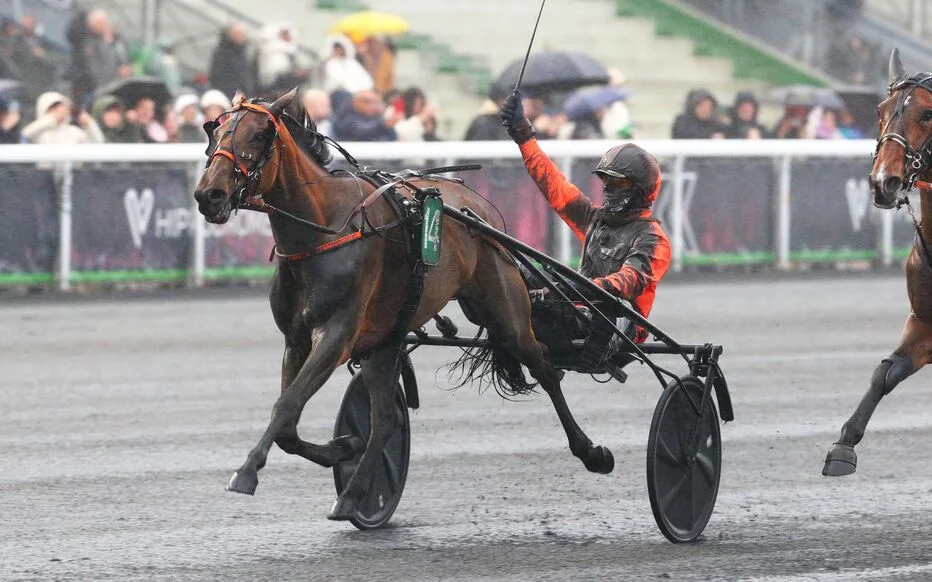Sacre de Nocive du Choquel : Les frères Bridault brillent dans le monde des courses