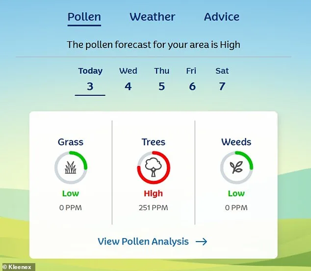 Les températures douces déclenchent une « attaque de pollen » au Royaume-Uni