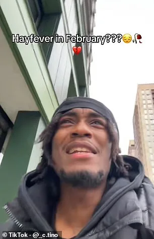 Les températures douces déclenchent une « attaque de pollen » au Royaume-Uni