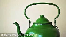 Laissez les chenilles détruire vos jardins cet printemps pour sauver les papillons