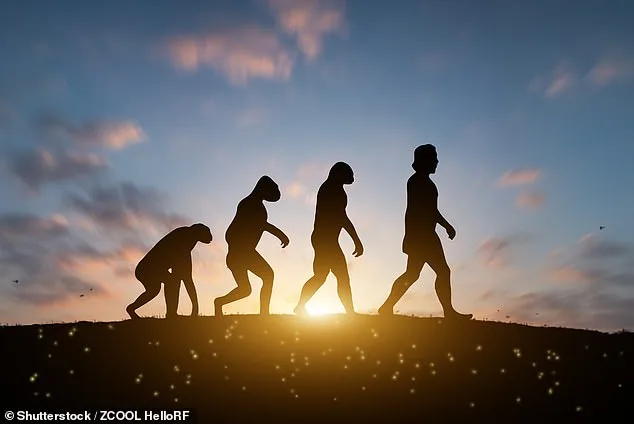 Un physicien de Harvard révèle comment sa foi a changé sa compréhension de l'évolution et des origines de la vie