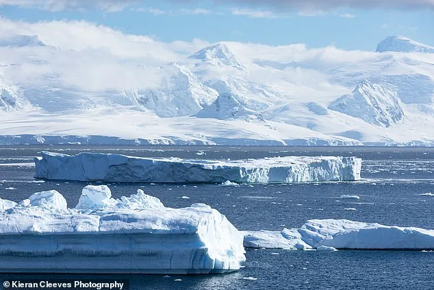 Un voyage inoubliable en Antarctique : entre icebergs et manchots