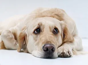 Les 7 visages de la sur-excitation : qu'est-ce qui vous causes ces sensations étranges ?