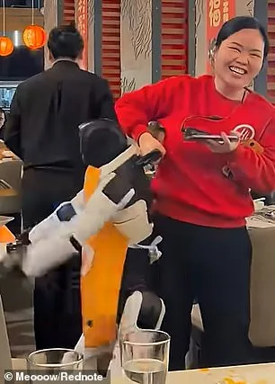 Incroyable : un robot danseur fait des ravages dans un restaurant chinois