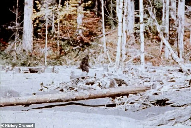 La vérité derrière l'icône Bigfoot : le film Patterson-Gimlin révélé