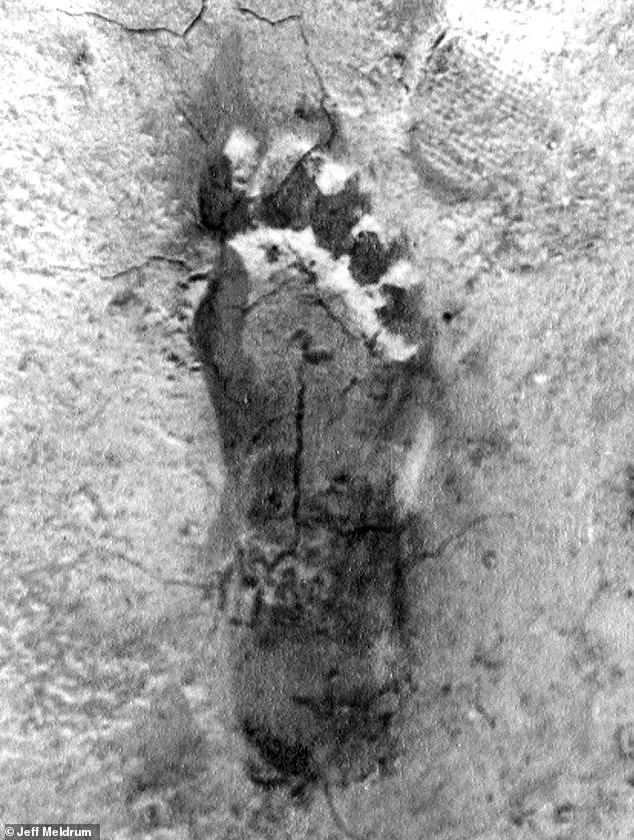 La vérité derrière l'icône Bigfoot : le film Patterson-Gimlin révélé