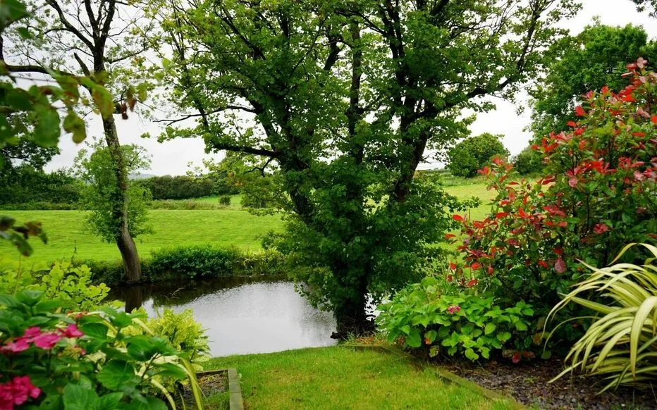 Comment économiser l'eau grâce au récupérateur d'eau Werkapro