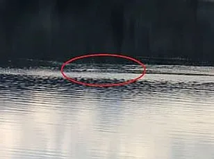 Un monstre mystérieux aperçu dans le lac de Ness
