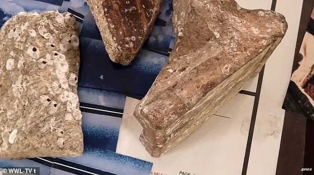 Une cité perdue de 12 000 ans découverte au large des côtes de Louisiane