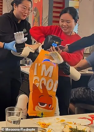 Les robots humanoïdes sont-ils une menace pour les enfants et les personnes âgées ?