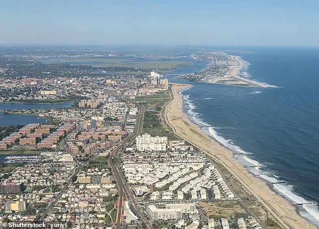 Alerte sur les plages de New York : les baleines mortes peuvent exploser