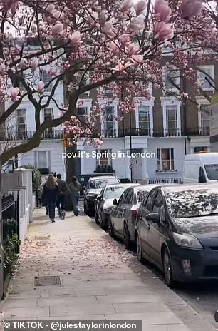 Le « faux printemps » : les Britanniques perplexes face aux fluctuations météorologiques