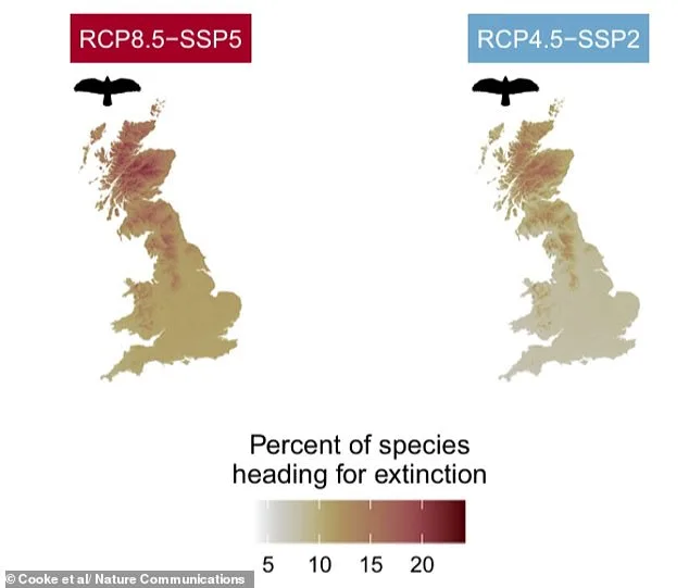 20 ans pour sauver la faune britannique : des espèces critiques en danger d'extinction