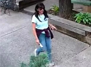 Des vidéos secrètes sur les phénomènes aériens non identifiés sont-elles la clé d'une menace pour la sécurité nationale ?