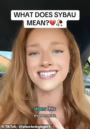 Les abréviations textuelles qui intriguent le plus les Britanniques : SYBAU et d'autres examples déroutants