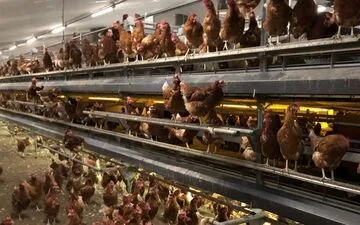 Federal Jury Convicts Live Nation of Monopoly Violations in Historic Antitrust Verdict