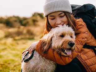 Northeast Leads US in Surging Tick Bite Emergency Visits