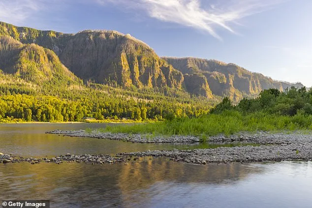 Oregon Family Mystery: Long-Disappeared Trio Finally Identified After 60 Years.