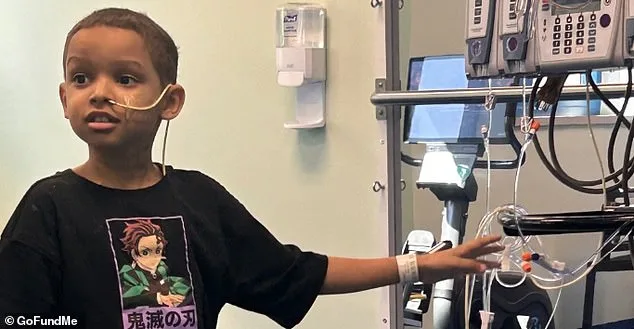 Royce's Road to Recovery: A Brave Young Boy's Journey".