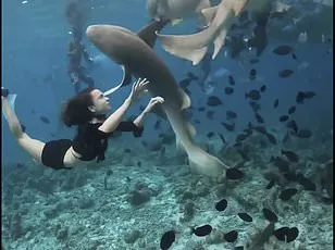 Spanish doctor loses leg to shark during honeymoon in Maldives