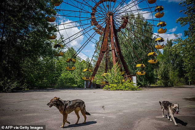 Nature Reclaims Chernobyl Ruins as Illegal Residents Defy Radiation Fears