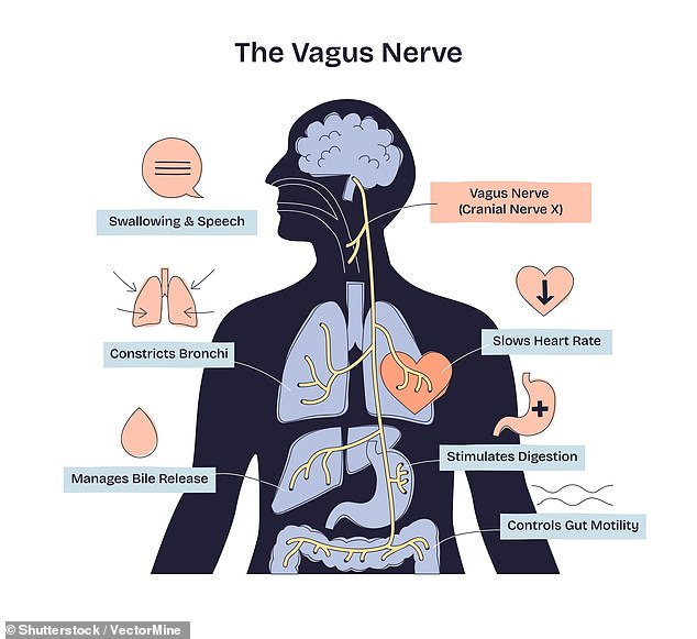 Vagus Nerve Stimulation Reverses Dementia and Restores Memory