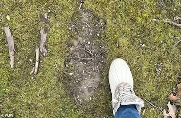 Retired Army Sergeant Major Claims Bigfoot Encounter Forever Changed His Life