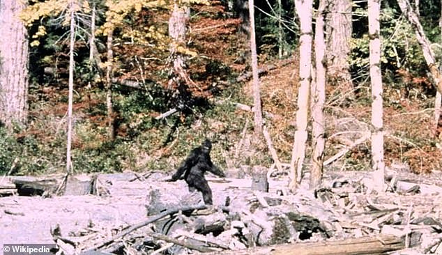 Veteran claims 1993 Oregon sighting of three massive Bigfoot creatures changed his life.