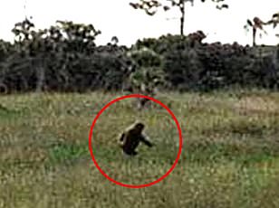 Veteran claims 1993 Oregon sighting of three massive Bigfoot creatures changed his life.