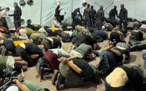 Israel expels pro-Palestinian activists amid allegations of abuse and humiliation.