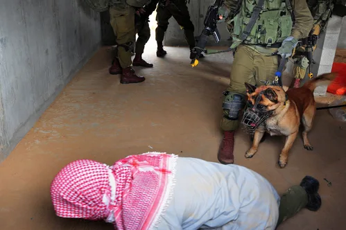 Israel expels pro-Palestinian activists amid allegations of abuse and humiliation.