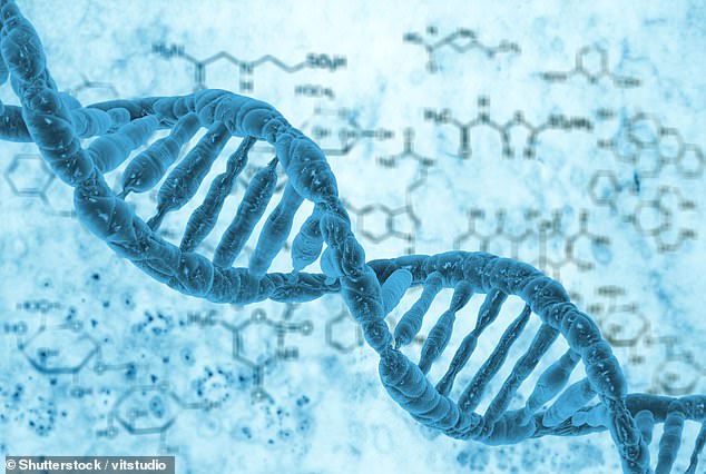 Former CIA Scientist Claims to Identify Four Alien Species in UFO Wreckage