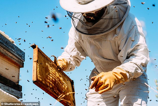 Daily honey use may aid weight loss and fight cancer, but one mistake negates benefits.