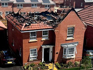 Solar Panel Explosion Forces Safety Review After Fire Injured No One