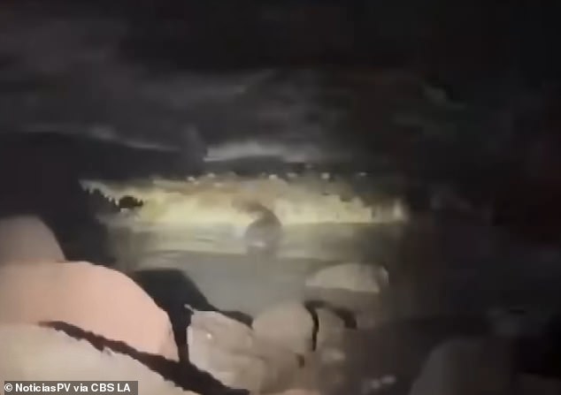 Deux touristes californiens tentent en vain de sauver un homme d'un crocodile.