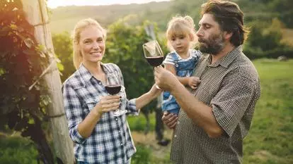 Investir dans le vignoble : un placement prometteur