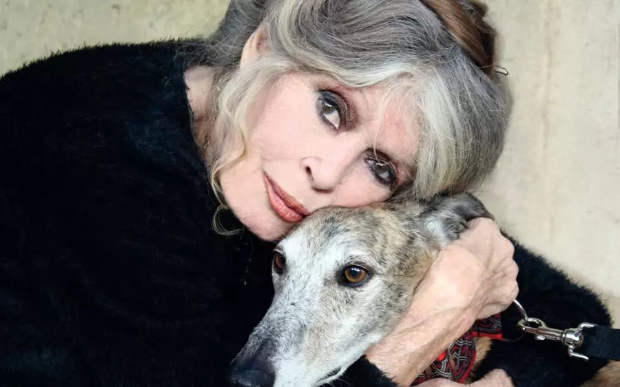 Titre: « Brigitte Bardot : Une vie de défis et de liberté