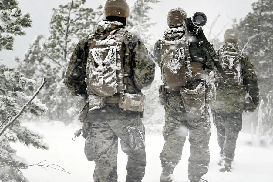 Exercices militaires multinationaux en Laponnie