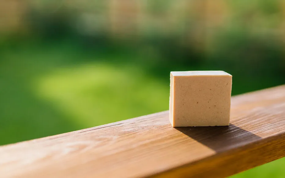 Comment repousser les indésirables du jardin ?