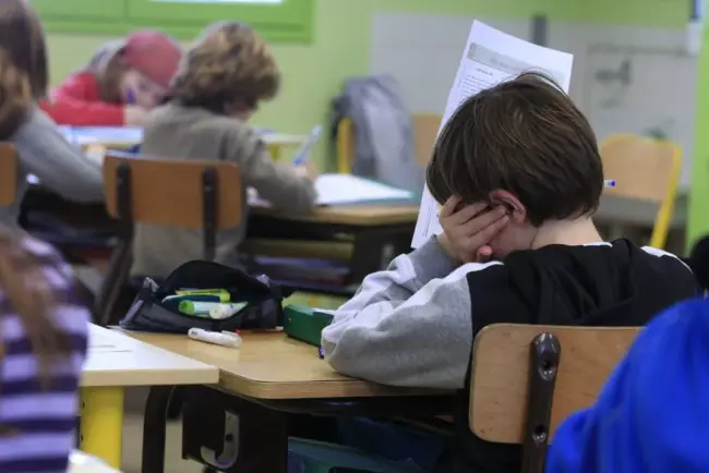 Google supprime les commentaires sur les écoles de Google Maps