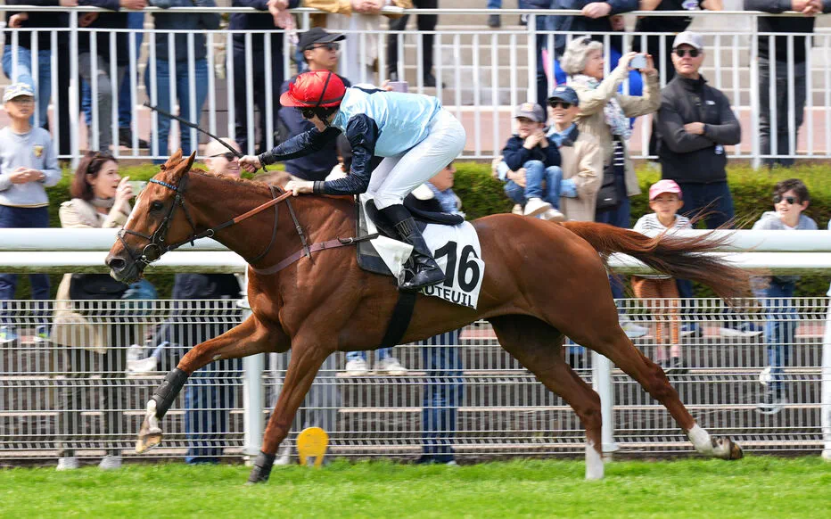 Jaguar du Berlais survole la Grande Course de Haies de Printemps à Auteuil