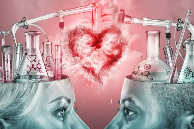 La biologie et la séduction : quand les saisons influencent l'amour
