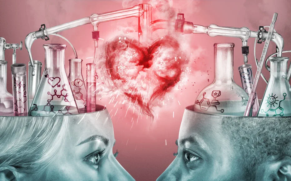 La biologie et la séduction : quand les saisons influencent l'amour