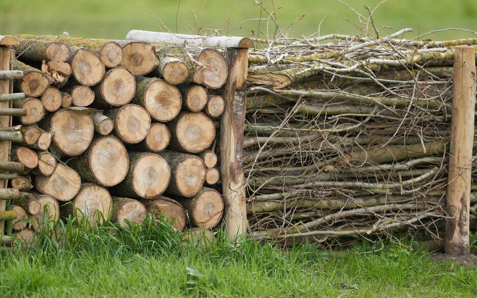 La haie sèche : une solution simple et économique pour clôturer votre terrain