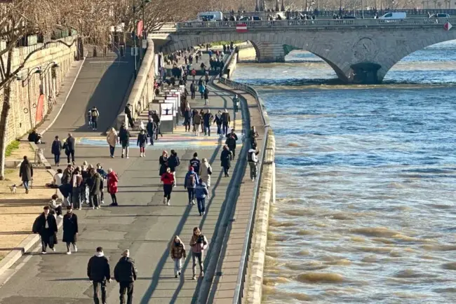 Le Conseil d'État et la lutte contre la pollution atmosphérique : vers des progrès ou un scepticisme persistant ?