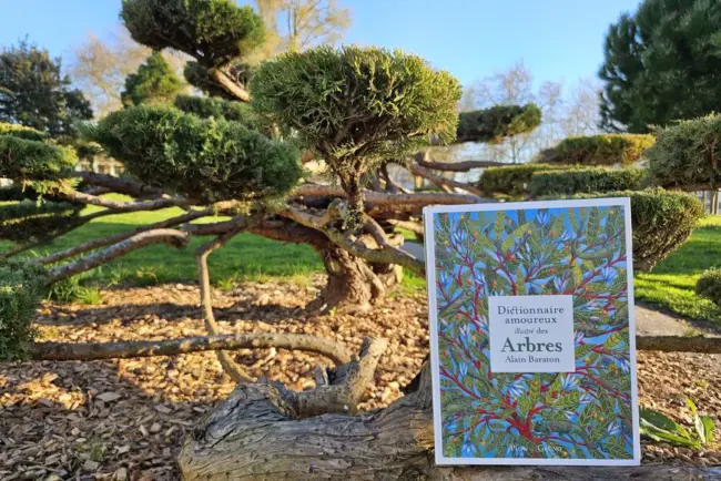 Le dictionnaire amoureux illustré des arbres