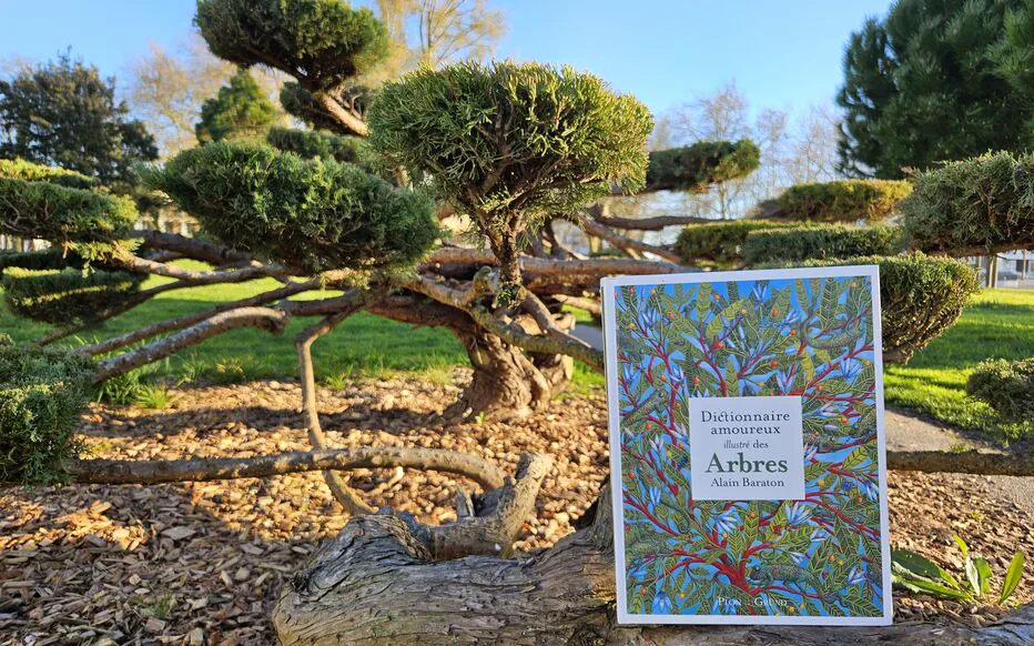 Le dictionnaire amoureux illustré des arbres