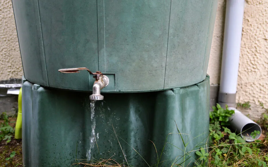 L'eau de pluie : une ressource à gérer avec soin