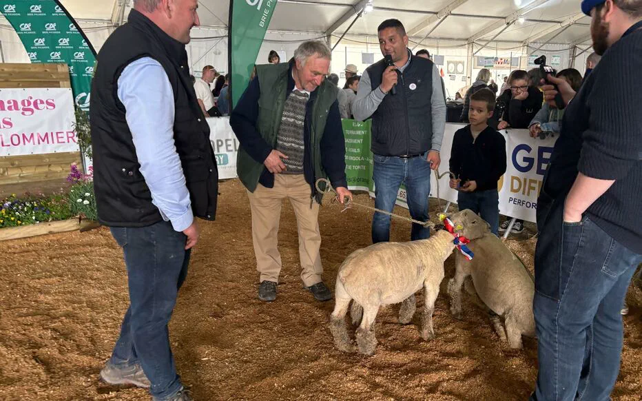 Les agneaux de Pâques font leur réapparition en Ile-de-France